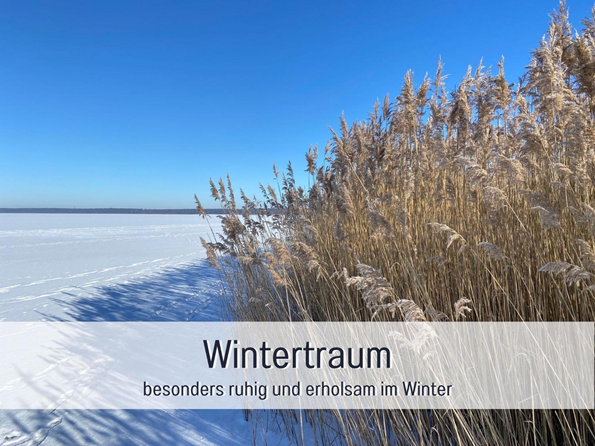 Strandhaus Mathea - Ruhige Lage Direkt Am Fleesensee - Parkplatz, Kamin, Sauna - Familienfreundlich Unter Göhren Buitenkant foto