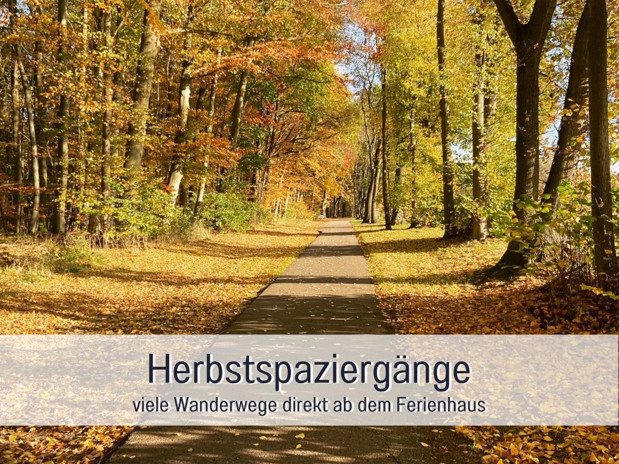Strandhaus Mathea - Ruhige Lage Direkt Am Fleesensee - Parkplatz, Kamin, Sauna - Familienfreundlich Unter Göhren Buitenkant foto
